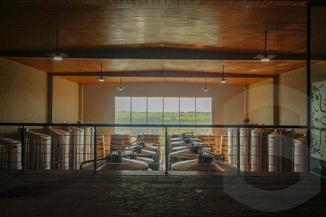 Private Vineyard and Wine Testing Tour From Guanajuato - FAQ