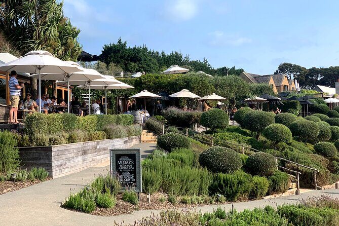 Private Vineyard Bush Walk Tour in Waiheke Island - A Relaxed, Yet Rich Waiheke Experience