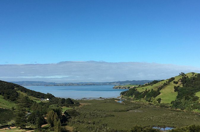 Private Vineyard Bush Walk Tour in Waiheke Island - Is This Tour for You?