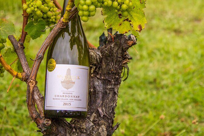 Private Vineyard Bush Walk Tour in Waiheke Island - FAQ