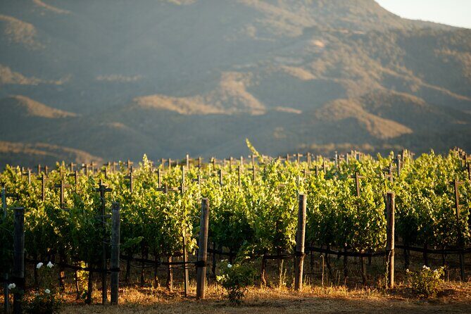 Private Vineyard Tour and Wine Tasting - FAQ