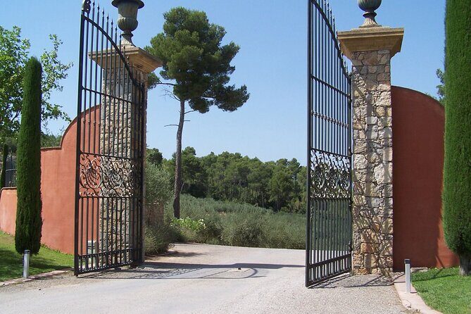 Private Vineyard Tour of Provence from Nice - Key Points