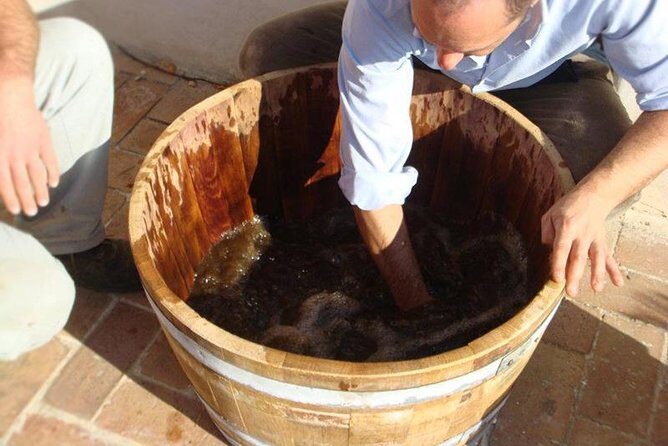 Private Vineyard Visit: Wine Tasting, Local Delicacies & Ceramics - The Vineyard Experience