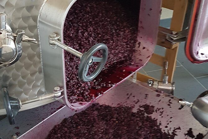 Private Vineyard Visit: Wine Tasting, Local Delicacies & Ceramics - Food and Snacks