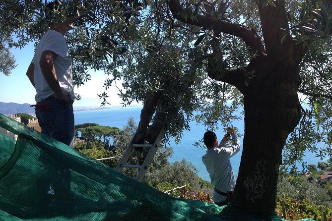 Private Vineyard Visit: Wine Tasting, Local Delicacies & Ceramics - Authentic Insights from Previous Travelers