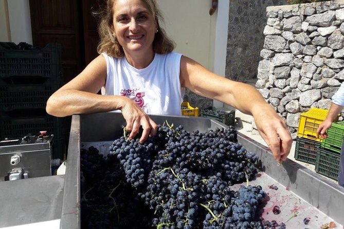 Private Vineyard Visit: Wine Tasting, Local Delicacies & Ceramics - Who Should Consider This Tour?