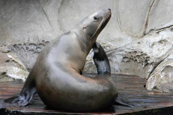 Private-VIP- Vancouver City Tour, SUV - Why Choose a Private SUV Tour in Vancouver?