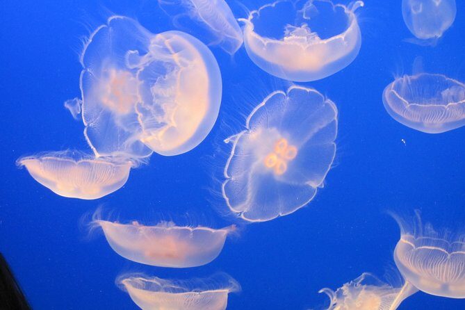 Private-VIP- Vancouver City Tour, SUV - Itinerary Breakdown