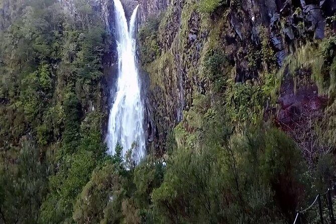 Private VipTours up to 4pax/8pax/19pax - Real Voices from Travelers