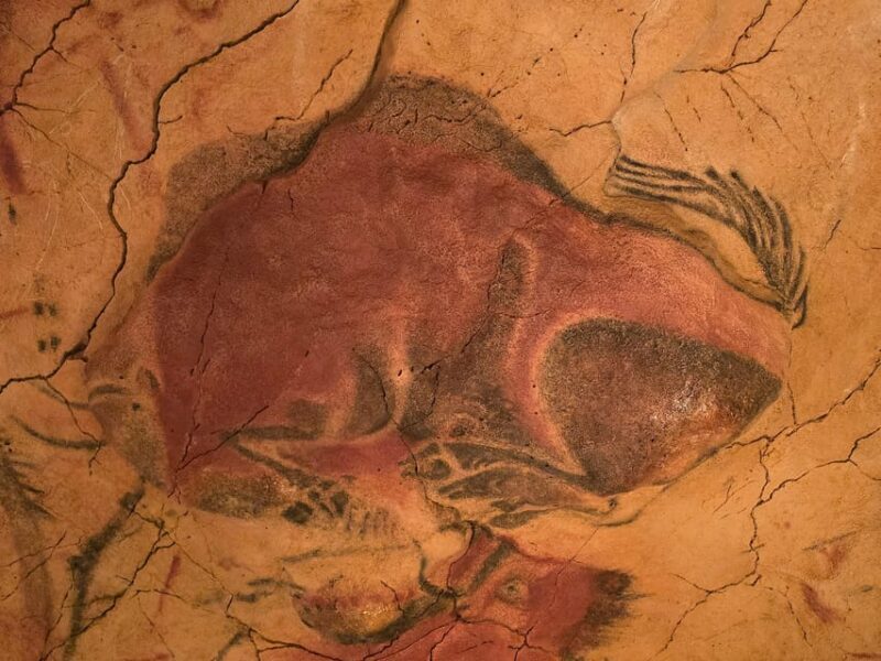 Private visit Altamira Museum and Neocave: the fascination of prehistory - Key Points