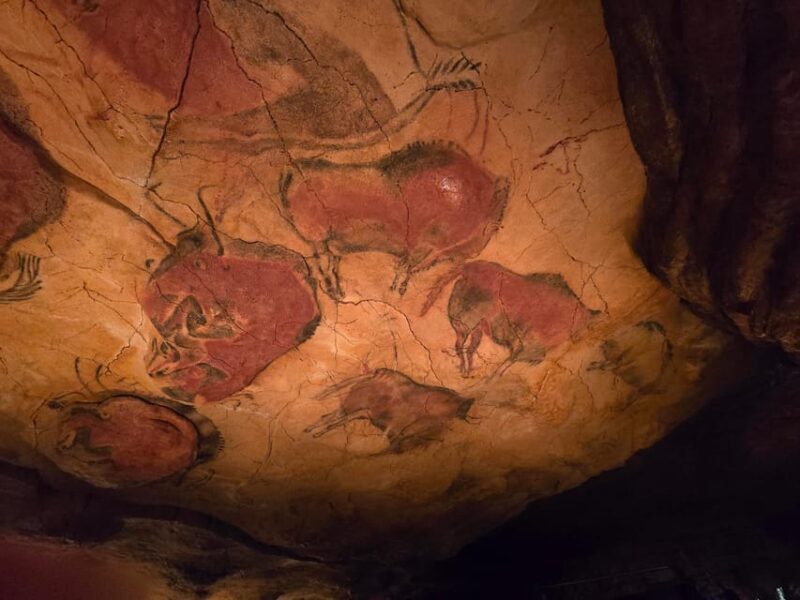 Private visit Altamira Museum and Neocave: the fascination of prehistory - A Closer Look at the Experience