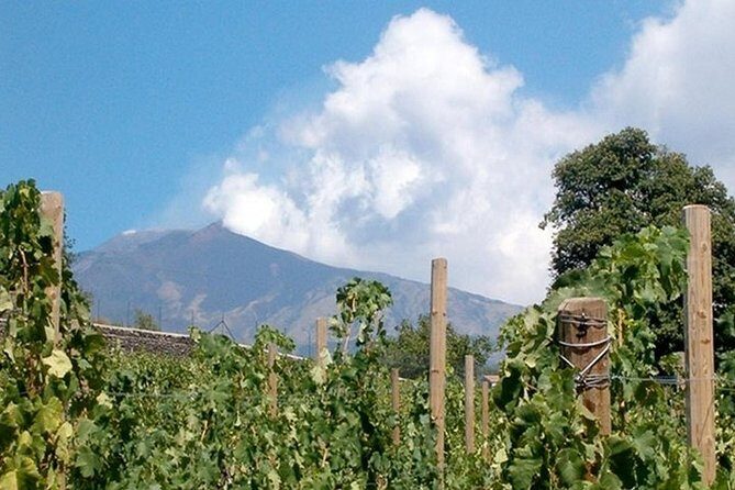 Private visit to the cellars of Etna with wine tasting - What’s Good and What’s Not So Great?