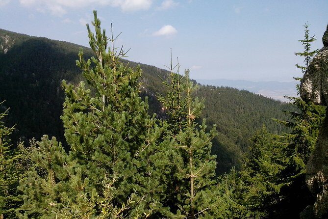 Private Vitosha Mountains Hiking with Black peak & Dragalevtsi Monastery - What Travelers Say: The Good and the Not-So-Good