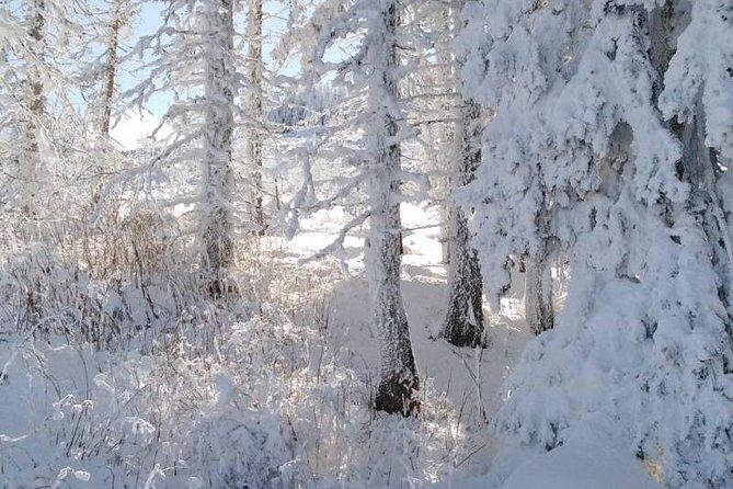 Private Vitosha Mountains Hiking with Black peak & Dragalevtsi Monastery - Analyzing the Value: Is It Worth It?