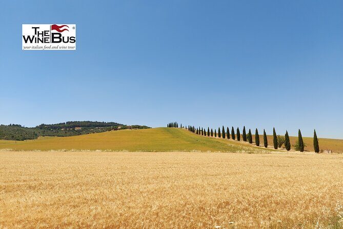 Private Vulture Wine Tour from MATERA with sommelier - Discovering the Vulture Wine Region