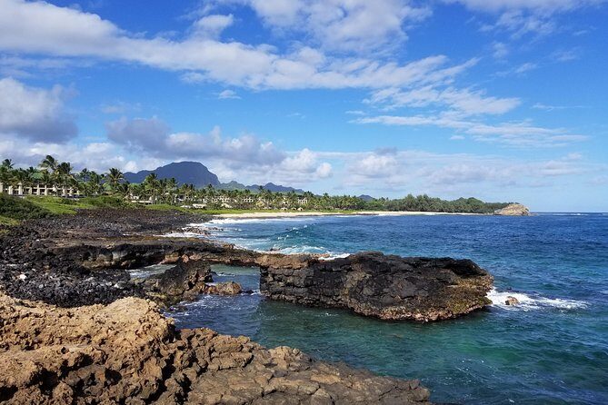 Private Waimea Canyon Tour - Final Thoughts