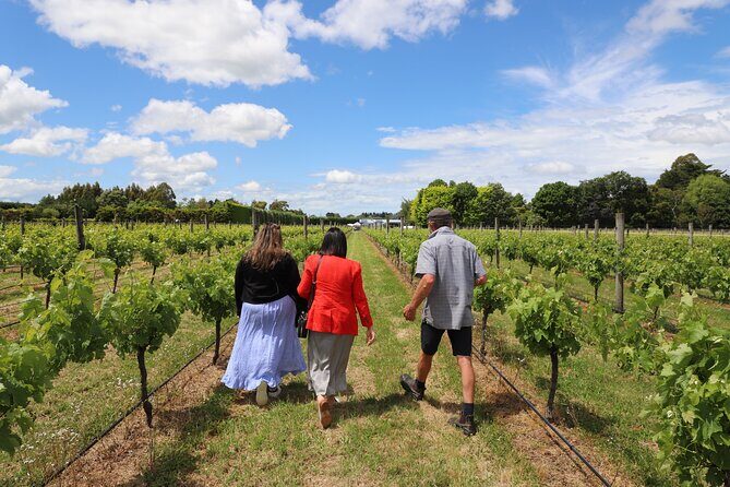 Private Wairarapa Wine Delights Tour from Wellington - The Itinerary: What to Expect