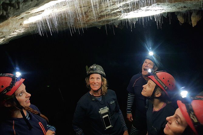 Private Waitomo Glowworm Cave Tours - Who Is This Tour Best Suited For?