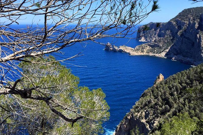 Private Walking & Hiking Experience Ibiza - Who Is This Tour Best For?