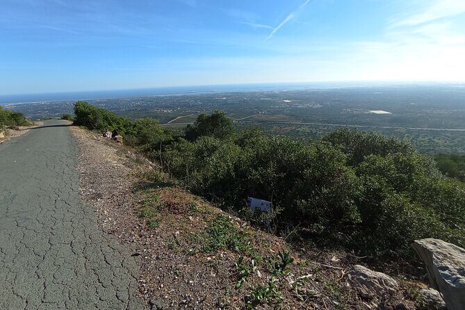 Private Walking Tour and Guided Picnics with Local Food and Wine - Exploring Faro’s Hidden Side: A Deep Dive into the Private Walking Tour & Guided Picnic