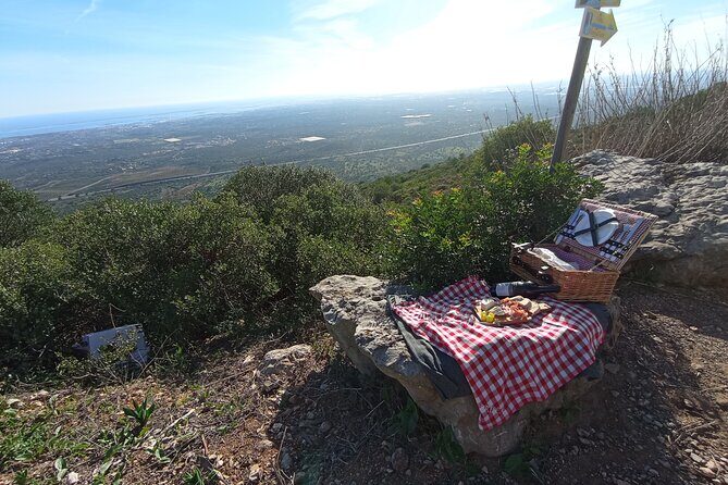 Private Walking Tour and Guided Picnics with Local Food and Wine - What this tour offers: an overview