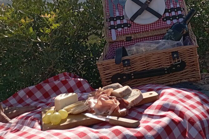 Private Walking Tour and Guided Picnics with Local Food and Wine - Authentic reviews: what others have experienced