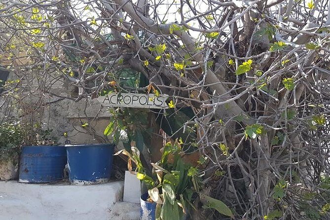 Private walking tour- Enjoy a Sunset Tour in Plaka - Final Thoughts