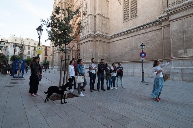 Private walking tour in Palma de Mallorca with local guides. - Final Thoughts