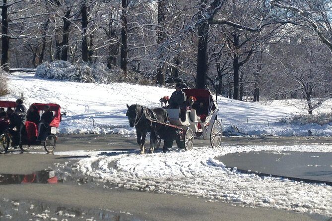 Private Walking Tour: Jewish Colonial History in New York City - Who Would Love This Tour?