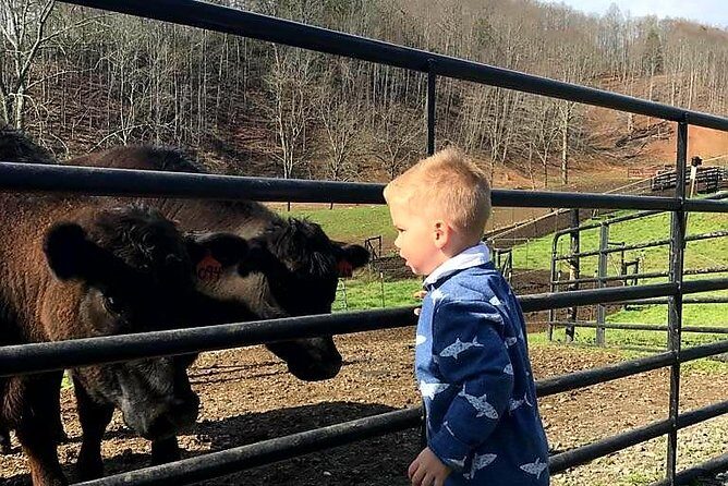 Private Walking Tour of a Real Working Cattle Ranch - Who Would Benefit Most from This Experience?