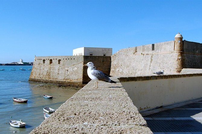 Private Walking Tour of Cadiz: includes Tavira Tower - Food and Wine Tasting: Local Flavors