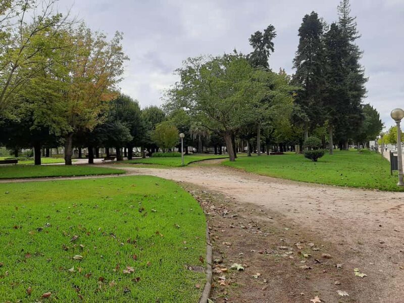 Private walking tour of Coimbra (8 hours) - The Value of This Tour