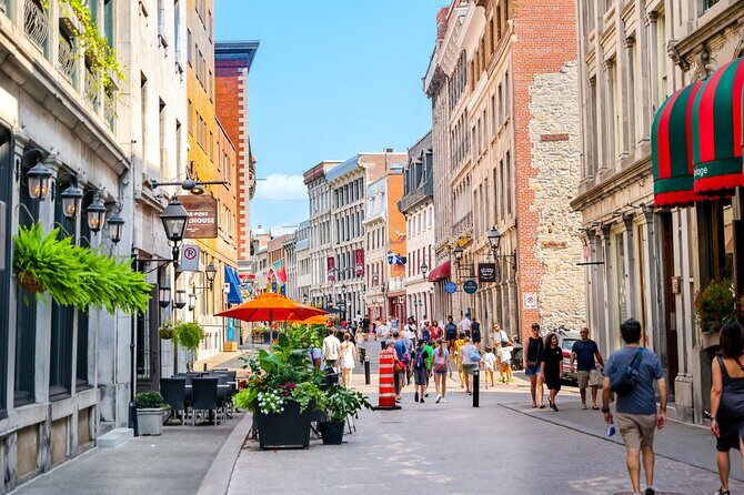 Private Walking Tour of Old Montreal - A Deep Dive into the Tour Experience