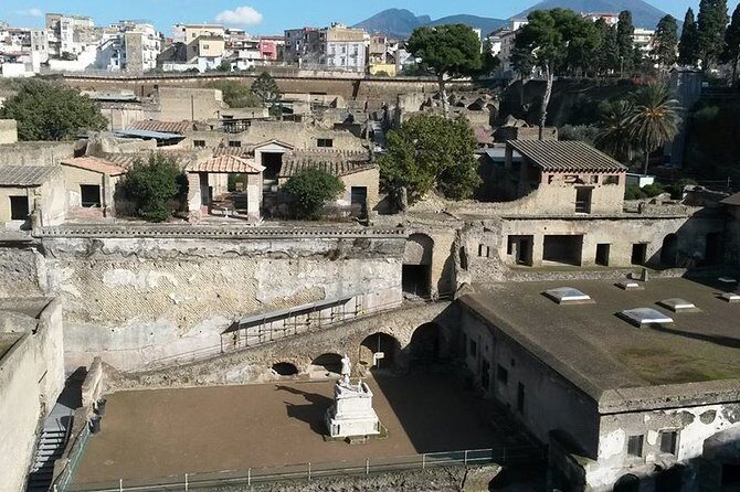 Private Walking Tour through the Historical City of Herculaneum - Practical Tips