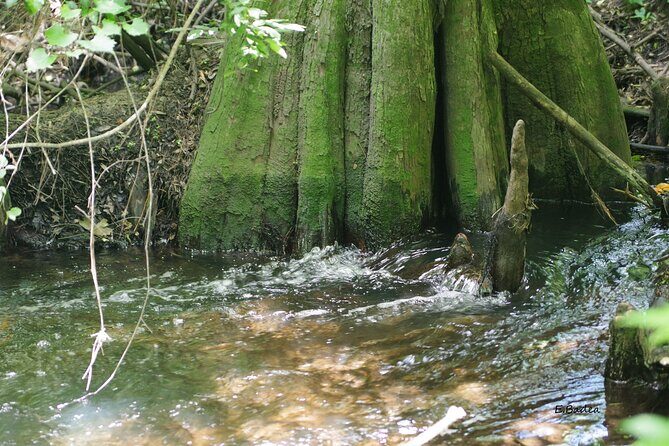 Private Walking Tour to St. John's Botanical Garden - Who Should Consider This Tour?