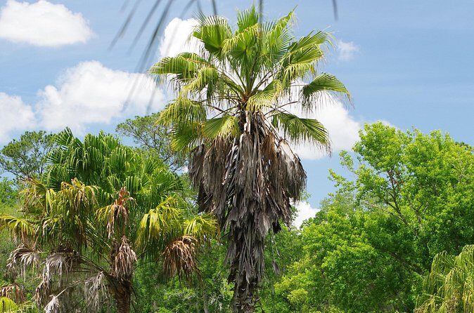 Private Walking Tour to St. John's Botanical Garden - Final Thoughts