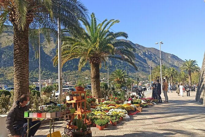 Private Walking tour with Wine and Food - What Makes This Tour Special?