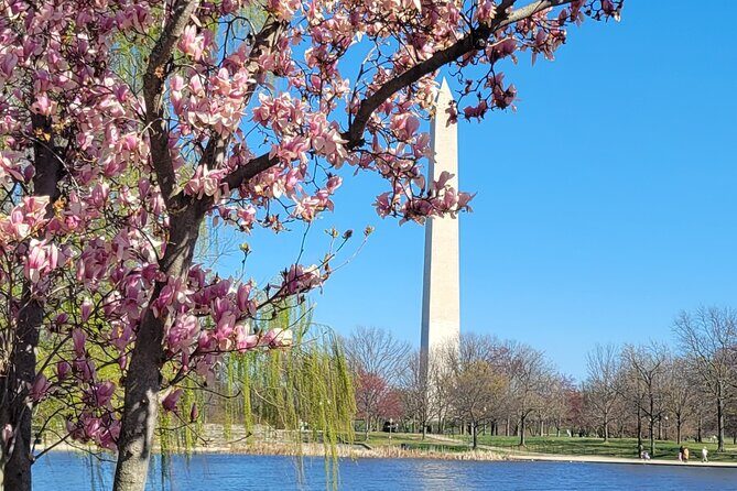 Private Washington DC Tour with Changing of the Guard Ceremony - Who Is This Tour Best Suited For?