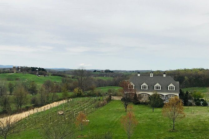 Private Washington DC Virginia Winery Wine Tasting Tour -Spirited - What to Expect from This Virginia Wine Tour