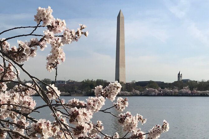 Private Washington Monuments Tour - A Deep Dive into the Tour Itinerary