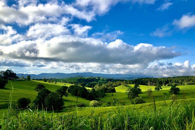 Private Waterfall and Rainforest Day Tour - Who Is This Tour Best For?