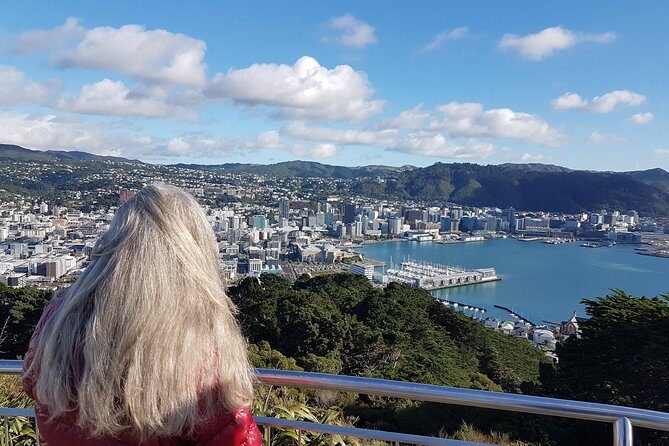 Private Wellington Full Day Sightseeing Tour - Getting to Know the Wellington Private Tour