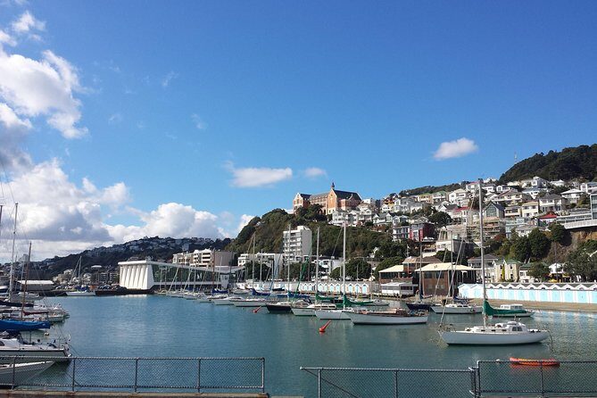Private Wellington Full Day Sightseeing Tour - FAQs