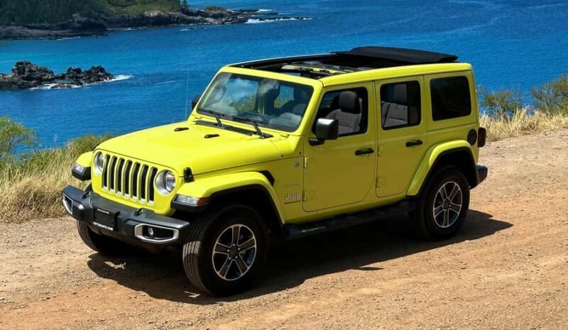 Private West Maui Coastline Open-Air Jeep Tour - Key Points
