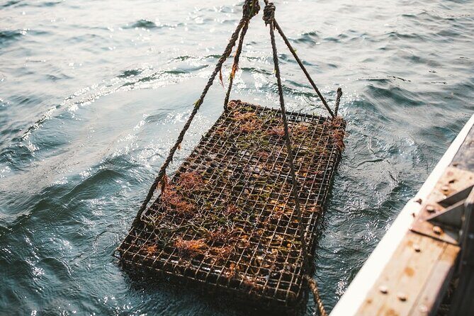 Private West Passage Oyster Tasting Aquaculture Tour - Key Points