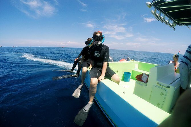 Private Whale Shark All Inclusive Experience - Key Points