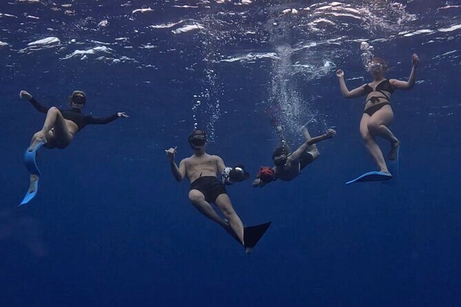 Private Whale Watching Adventure in Mo'orea - What to Expect from Your Moorea Whale Watching Tour