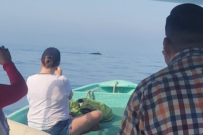 private whale watching at sunset - Exploring the Private Whale Watching at Sunset Tour in Puerto Vallarta