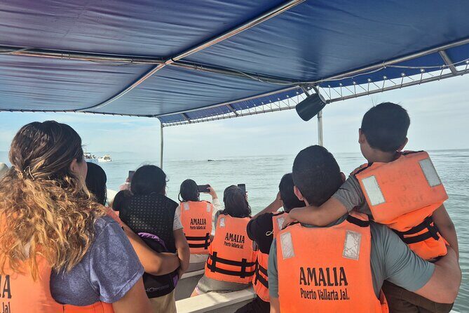 private whale watching at sunset - Final Thoughts