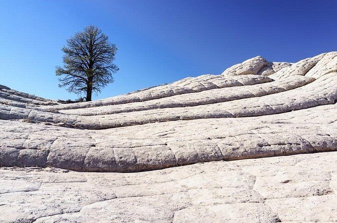 Private White Pocket Vermilion Tour - FAQ